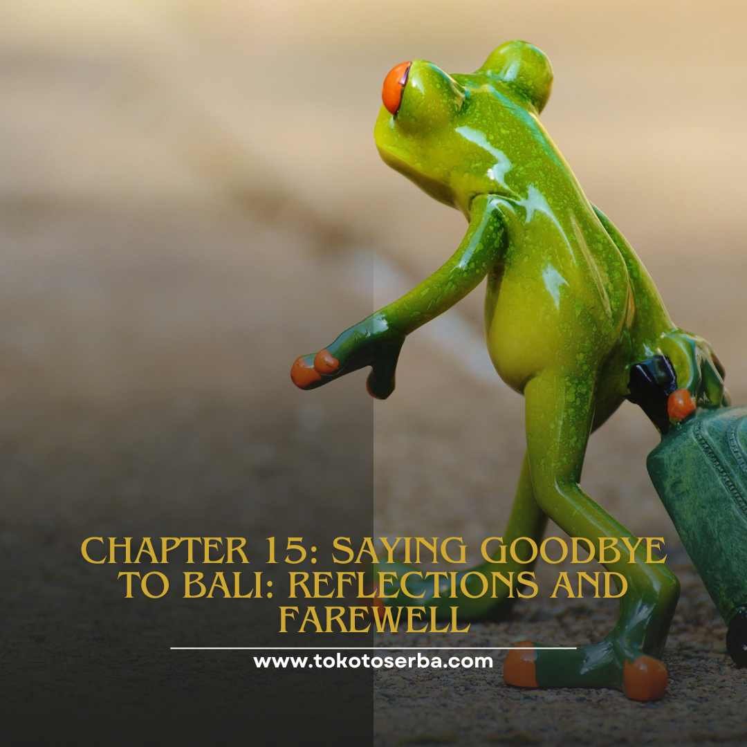 Chapter 15: Saying Goodbye to Bali: Reflections and Farewell